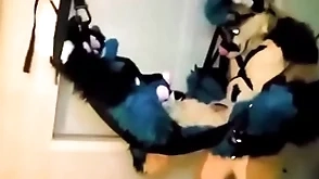 Furry compelled around and fucked