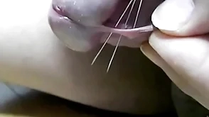 チンポに針を刺す