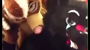 Fursuiters fuck encircling go to the toilet while bottom moans loudly