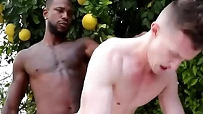 Gigantic bbc penetrates gay asshole - reign , grant ducati