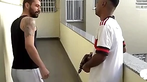 Peguei o hétero faz tudo knock off condomínio