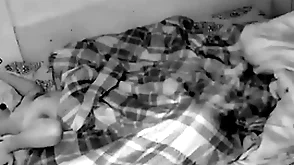 Câmera escondida bantam quarto dos caras à noite flagrou os machos trepando